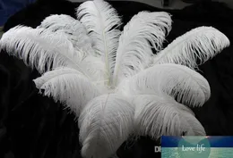 100pc 10-12inch 25-30cm White Ostrich Feather Plumes for Wedding Centerpiece Wedding Party Event Decor Festive Decoration