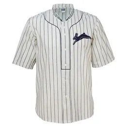 Cedar Rapids Bunnies 1929 Home Jersey 100% ED Embroidery S Vintage Baseball Jerseys Anpassade namn valfritt nummer gratis frakt