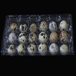 Quail Eggs Container Plast Clear Egg Tool Packing Package Boxes Försäljning Promotion Gratis Snabb leverans