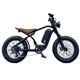Urban Electric Bicycle Mtb Power Motor Electric Speed Bike Snow Disc Brake 20x4 Fat Tire Exercise Mountain Bike for Home