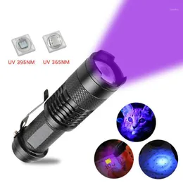 懐中電灯Torches UV 395nm 365nm LED紫外線トーチズーム可能ミニLinterna Light Pet尿汚れ検出器Scorpion Hunting Lamp1