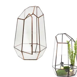 19cm Height Irregular Glass Geometric Terrarium Box Tabletop Succulent Plant Planter Flower Moss Fern Pot Y200709