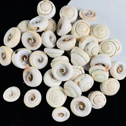 15 20mm 10pcs Natural Spiral Seashells Bead Conch Head Nautical Decor Beach Wedding Decorations Necklace Diy Jewelry Making H bbyEHy