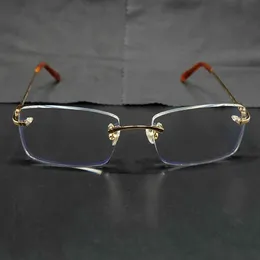 Çıkmaz berrak gözlük çerçeveleri Erkekler Şeffaf Optik Gözlükler Metal Carter Deisgner Eyewear Dolgu Reçete Gözlükleri263Q