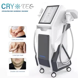 cryolipolysis fat freeze slimming machine s shape for body and face use with two working cryo handles 15 inch touch screen with smart system special handle