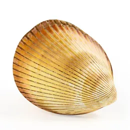 Natural Seashell Bird Tail Clam Par Clams Double Sided Big Conch Exempel Beach Nautical Decar Aquarium Wedding Decoration H Jllaoz