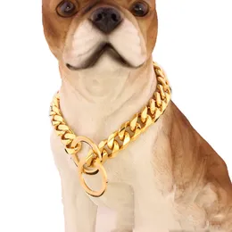 12mm Ze Stali Nierdzewnej Złoto Złoto Chain Cuban Pet Dog Chain Teddy Schnauzer Corgi Pet Dogs Akcesoria