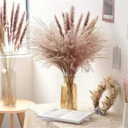 30ピース装飾乾燥ナチュラルプラグミテスブーケパンパスグラス葦の花