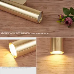 Wall Lamp Light Mirror Gold Tube Design Lights Plating Aluminium Cover LED Sconce Hallway Coffee Shop Indoor Up And Down1