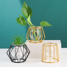 Nordic Style Golden Black Glass Hydroponic Iron Line Flower Vase Metal Plant Holder Modern Home Decor Vases Ornament C0125