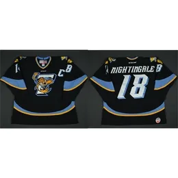 custom rare cheap Jared Nightingale Toledo Walleye 2016 ECHL Captains Club blue Hockey Jersey or custom any name or number retro Jersey