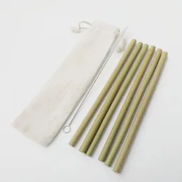 Conseguir canudos 6pcs de bambu reutilizável palha verde ecológico