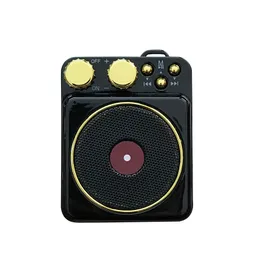 Hot Retro Creative Gifts T10 Portable Vintage Phonograph Sound TF Outdoor Wireless Bluetooth 4.2 Högtalare