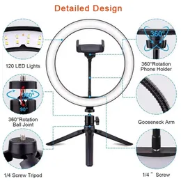 26cm 10" Lampe Bluetooth Remote USB Beleuchtung Schreibtisch Mini Ring Fülllicht Telefon Dampf Make-up, Led Circle Selfie mit Stativständer