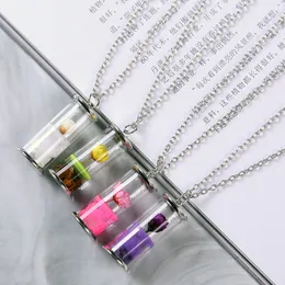 S1849 Горячая Мода Ювелирные Изделия Бутылка Кулон Ожерелье Стекло Сухой Цветочный Слайд Подвесное Ожерелье