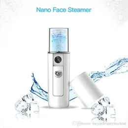2in1 Gesichts-Mitesser-Entferner, Vakuum-Gesichtshaut-Porenreiniger, Saug-Akne-Pickel-Entfernungswerkzeug mit Mini-Nano-Gesichtsdampfer