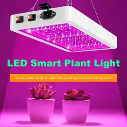 LED Grow Light 2000W 3000W Dubbelströmbrytare Phytolamp Vattentät Chip Tillväxt Lampa Full Spectrum Plant Box Belysning inomhus