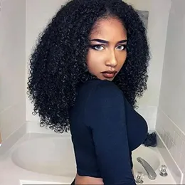 Ombre Syntetisk Afro Kort Kinky Curly Lace Front Paryker med Baby Hair Heat Resistant Top Fiber Paryker för svarta Kvinnor N18