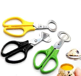 500pcs Quail Egg Saxar Cracker Opener Cigar Cutter Rostfritt stål Blade Verktyg Gratis DHL Gratis Frakt Sn3389