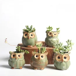 5pcs/lot Creative Ceramic Owl Shape Flower Pots for Fleshy Succulent Plant Animal Style Planter Home Garden Office Decoration Y200709
