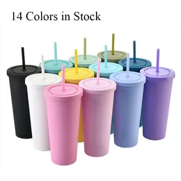 22oz Acrylic Skiny Matte Tumbler Travel Mug Double Wall Plastic Cup with Straw