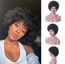 Afro Kinky Synthetic Omber Wig Symulacja Ludzkie włosy Perruques de Cheveux Humains Pelucas Peruki dla Blackk Women JS5881