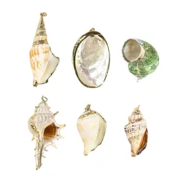 5pcs Natural Conch Seashell Ornaments For Pendant Shells Charms Necklace Pendant Diy Shells For Jewelry Making Accessories H jllIaX