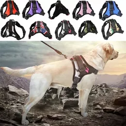 犬の襟調節可能なひも反射性の通気性の大きな犬猫ベストペット用品在庫卸売