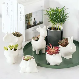 Ceramic Flower Pot Succulent Plant Animals Shape Planters Pots Flowerpot for Home Office Garden Desktop Decor Bonsai Y200723