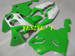 DHgate.com:Green & White Fairing Body Kit for KAWASAKI Ninja