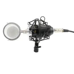 BM8000 Professional Sound Studio Recording Condenser Microphone with 3.5mm Plug Stand Holder