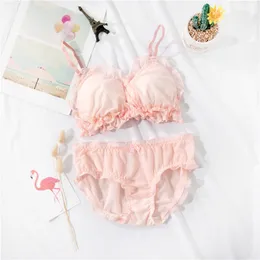 Buy Ultra Transparent Bra Panty Set Online Shopping at