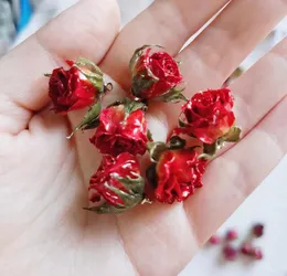 Hantverk verktyg gutta percha rosa huvud semi färdiga örhängen tillbehör diy halsband rosor torr blomma riktiga blommor