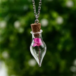 Women Girls Wishing Bottles Dried Flower Necklaces women glass necklaces plant fashion jewelry Christmas gift will and sandy new