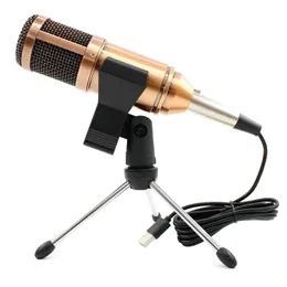 BM 900 mikrofonkondensatorljudinspelningsmikrofon för radio Braodcasting Singing Recording KTV Karaoke Mic