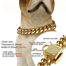 14mm Dog Collar Gold Color Ze Stali Nierdzewnej Łańcuch Naszyjnik Pet Supplies Caidaea Rhinestone Lock High Polished 10 ~ 24inch1