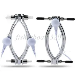 Bondage E Stim Shock Stainless Steel Labia Clip Clitoris Clamps Clitoris Teasing Women #54