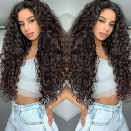 Lace Wigs Long Deep Curly None Lace Wigs Long Loose Black Natural Wave Wigs Heat Ristant Fiber Synthetic Wigs for Black Women 24inch+free Wig Cap