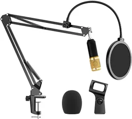 Microphone Stand with Dual Layered Pop Filter Suspension Scissor Boom Bracket Mic Arm Stand with 3/8" to 5/8" Adapter
