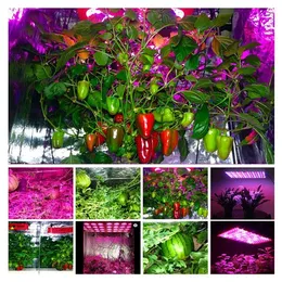 1200W High intensity LED Dual Chips 380-730nm Full Light Spectrum LED Plant Growth Lamp White Low heat