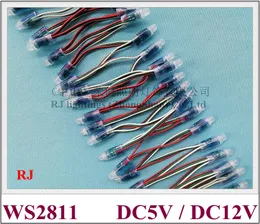 Módulo de luz de pixel LED colorido à prova d'água IP67 WS 2811 LED corda de luz exposta para letras de sinalização PVC DC5V / DC12V 0.3W WS2811 CE