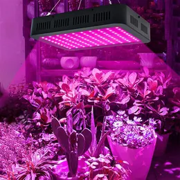 熱い販売の速い納入1000W 100 * 10Wのフルスペクトル3030ランプビーズの植物ランプシングルコントロール黒屋内プレミアム材料成長ライト