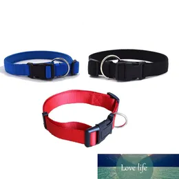 Dog Collars Adjustable Nylon Custom Dog Collar for Cat Puppy Large Black Red Blue Multisize Portable Dogs Collar Pet Accessories