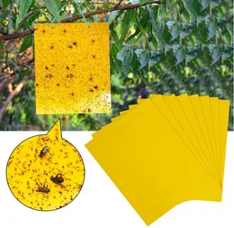 Trappole appiccicose gialle a doppia faccia Forniture da giardino Trappole per mosche della frutta per insetti vegetali come afidi per interni ed esterni Include laccetti