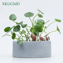 Tecknade djurharts hydroponics succulent igelkott blomma pottplanter trädgård hantverk dekor micro landskap krukväxter y200709