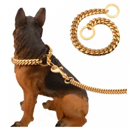 Cuban Pet Dog Chain Stainless Steel Gold Chain Outdoor Training Dog Leash Duży Pet Dog Leash