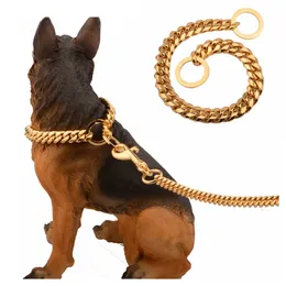 Kubansk sällskapsdjur Hundkedja Rostfritt stål Pet Guldkedja Utomhus träning Hund Leash Large Pet Dog Leash