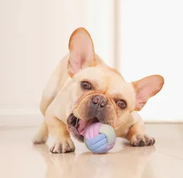 犬と猫のペットのおもちゃマカロンシリーズの臼歯咬傷抵抗力のあるコットンロープボール