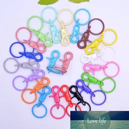 Colorful Metal Swivel Clasp Lanyard Snap Hook With Key Ring Diy Trinkets  Keychain Jewelry Findings From SG $5.4