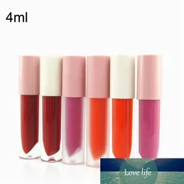 4ml Empty Makeup Concealer Brush Tube Pink/white cap Lipgloss Packing Containers Clear Lip gloss Lipstick Wand Bottles